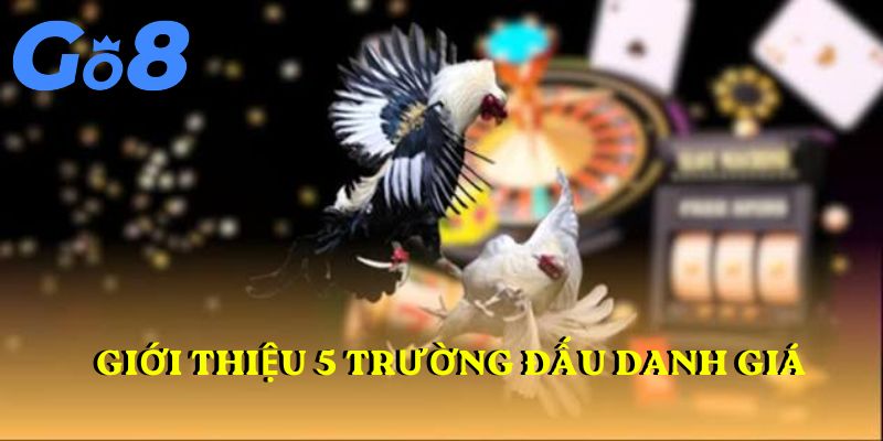Giới thiệu 5 trường đấu danh giá