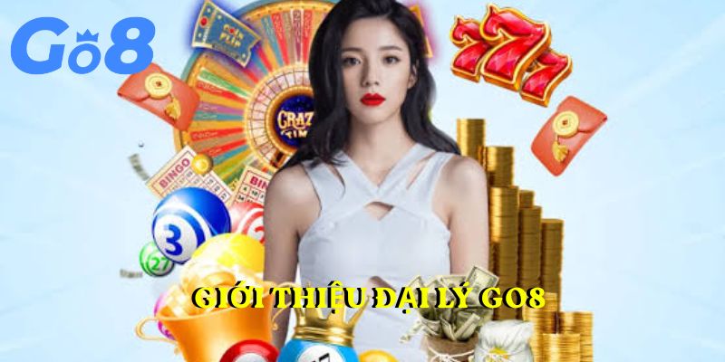 Giới thiệu đại lý GO8