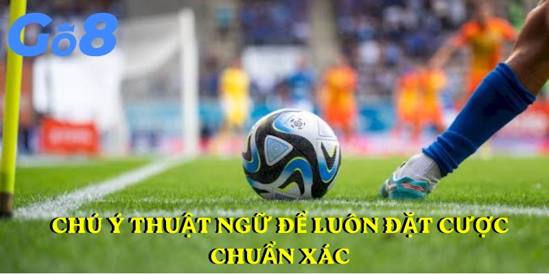 Chú ý thuật ngữ để luôn đặt cược chuẩn xác