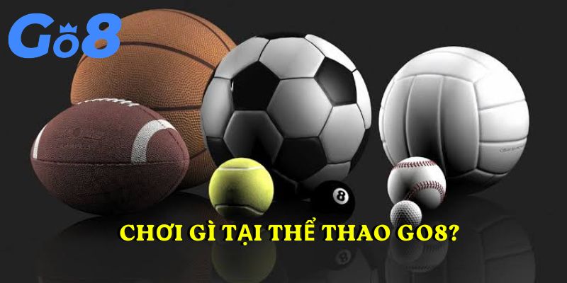 Chơi gì tại thể thao GO8?